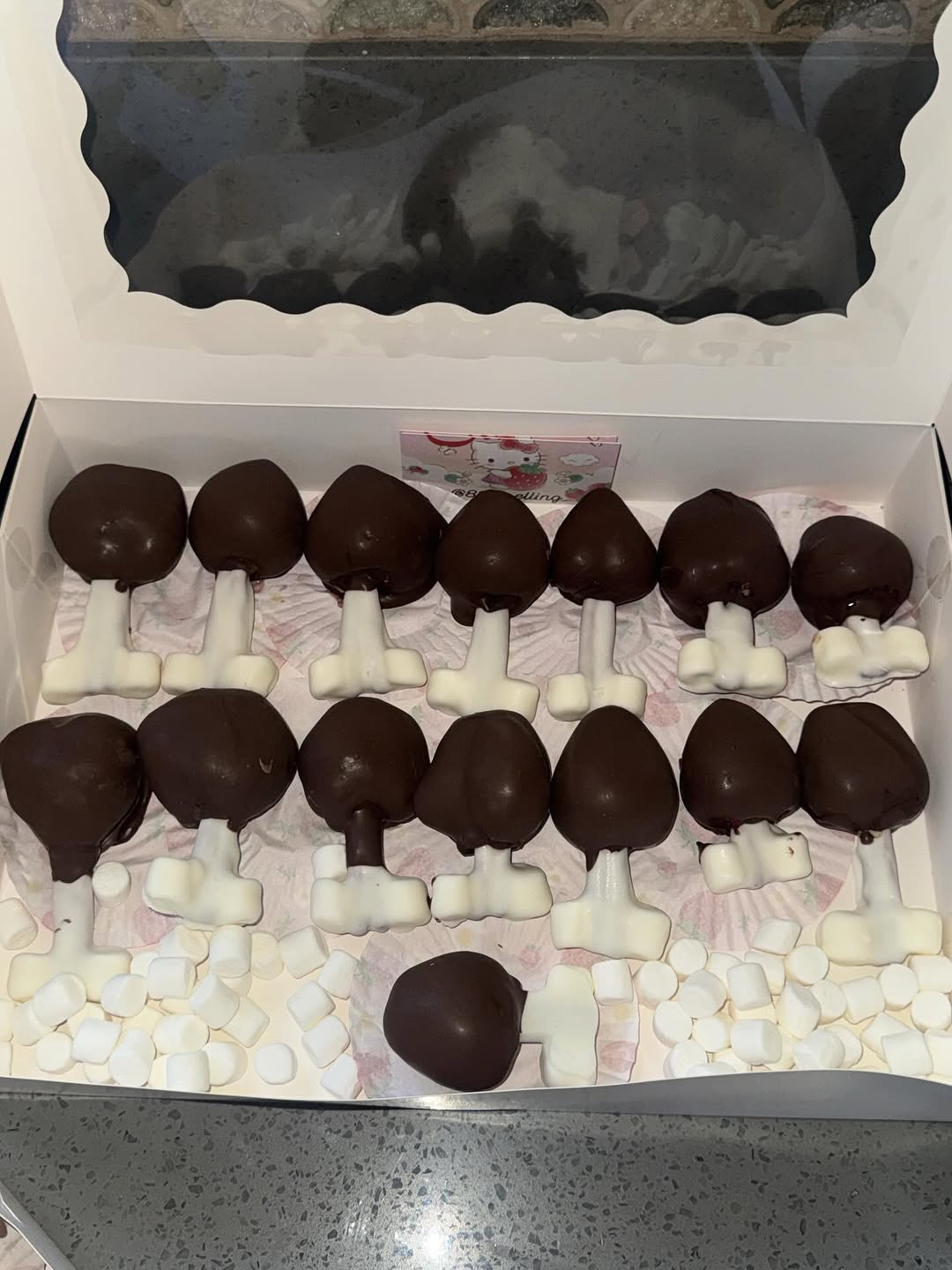 Whimsical chocolate-covered marshmallow pops shaped like mushrooms with dark chocolate caps and white chocolate stems, nestled in mini marshmallows.