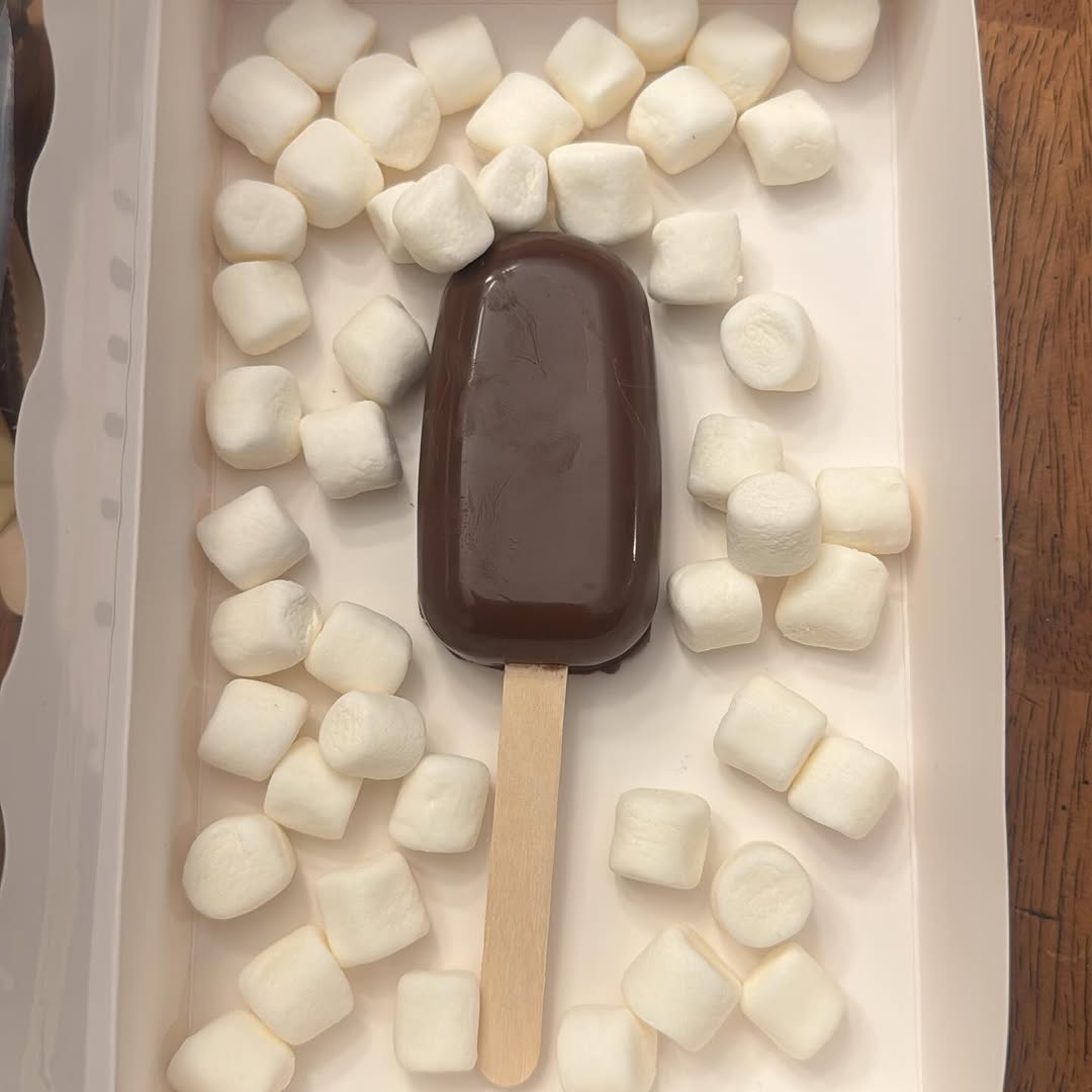 A single dark chocolate cakesicle presented elegantly in a small white bakery box surrounded by mini marshmallows.