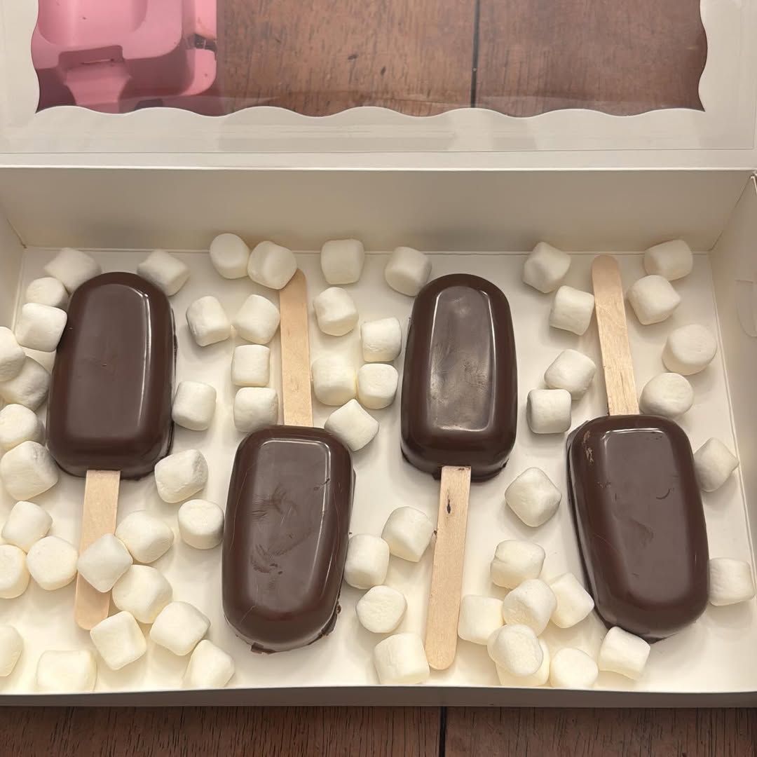Four glossy dark chocolate cakesicles in a single row inside a white bakery box with marshmallow padding.